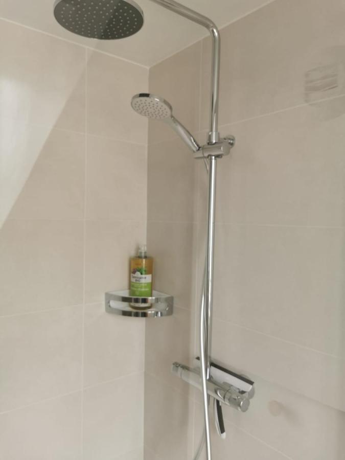 Canopee - Appartement - Hyper Centre Ville 캥페르 외부 사진