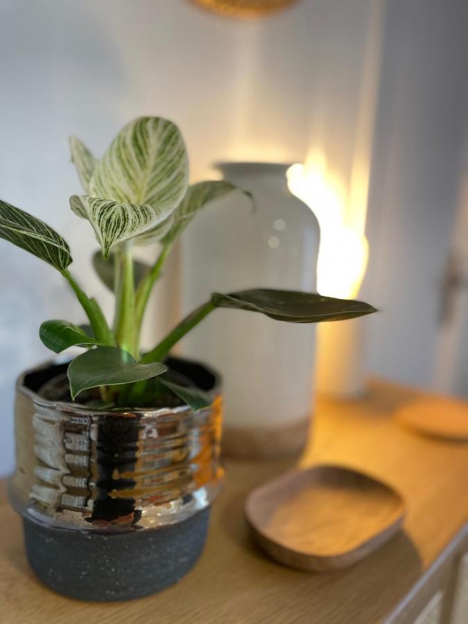 Canopee - Appartement - Hyper Centre Ville 캥페르 외부 사진